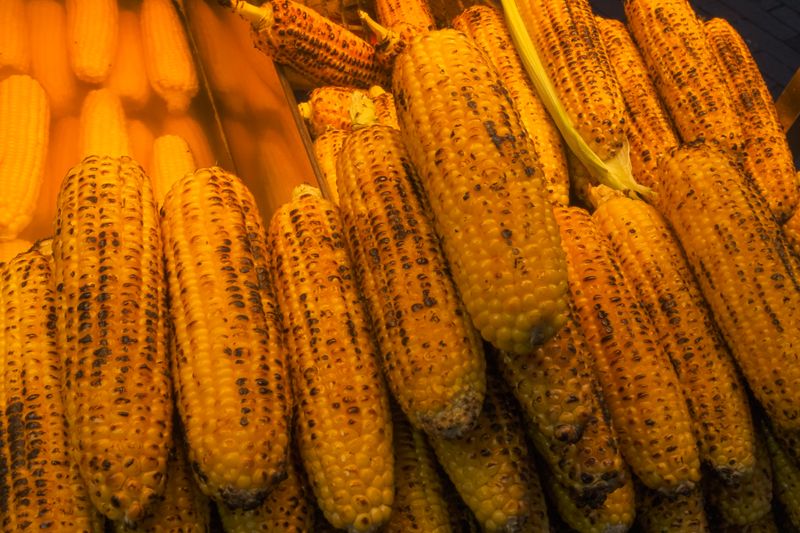 Corn on the cob grilled side